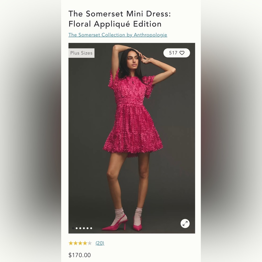 The Somerset Mini Dress: Floral Appliqué Edition NEW with out Tags. Never worn!